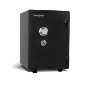 FS149 - Imported Vertical Safe